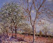 阿尔弗莱德 西斯莱 : Plum and Walnut Trees in Spring